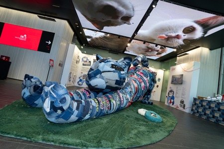 《喵遊記—以貓連城 布繫社區》與《尋街・見物—深水埗》展覽