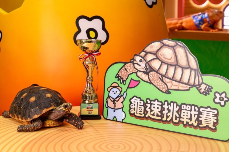 森境奇緣夏日異想尋龍記